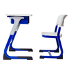 WANGLI Fixed Height Student Desk and Chair Set with Steel Storage Box & Ergonomic PE Chair, C-Frame School Furniture